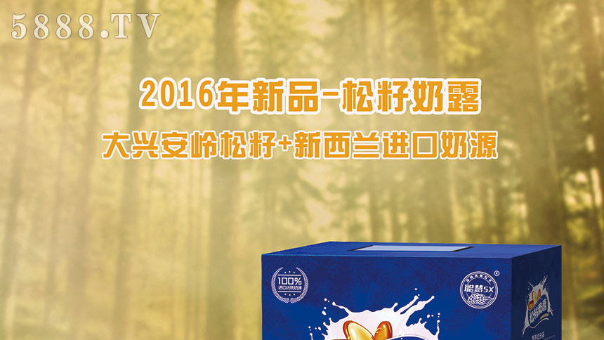 松籽奶露易拉寶2_01